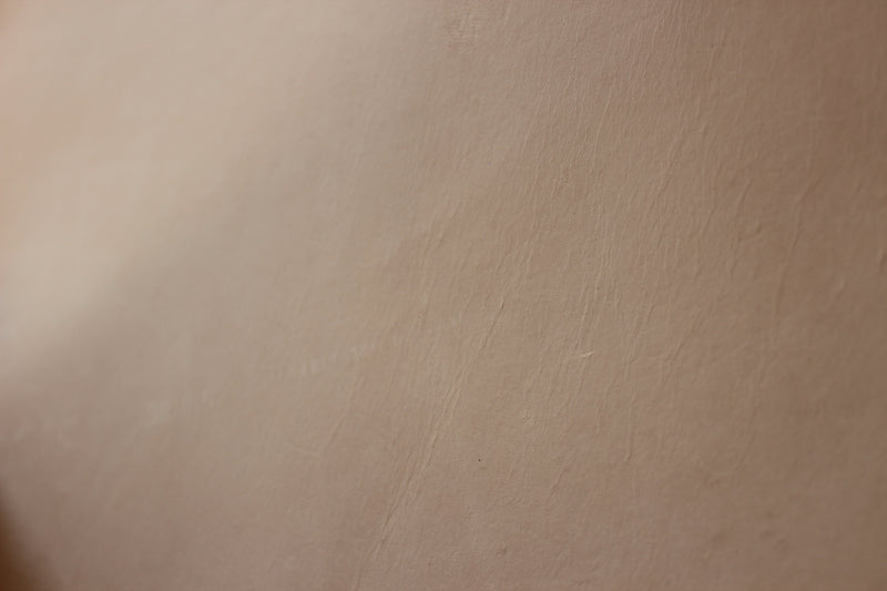 Full-grain leather hide